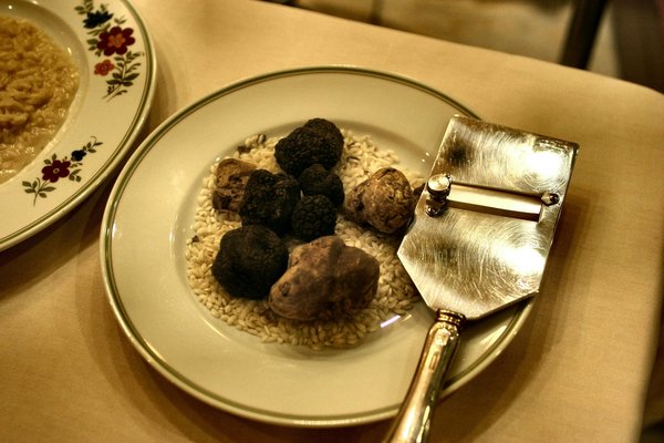 Plongez dans le monde fascinant des truffes de qualité